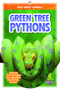 Green Tree Pythons