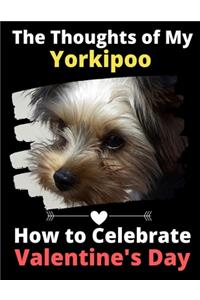 Thoughts of My Yorkipoo