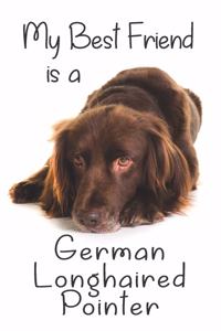 My best Friend is a German Longhaired Pointer