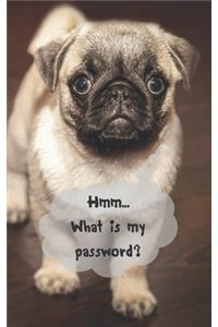 Hmm...What is my password?