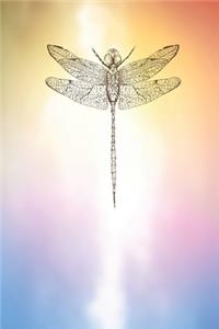 Brown Dragonfly