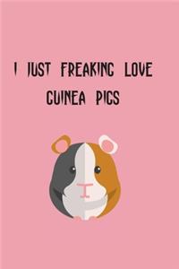 I Just Freaking Love Guinea Pigs