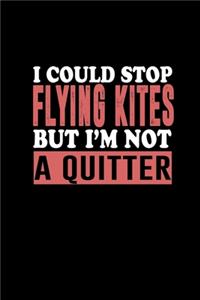 I could stop flying kites but I'm not a quitter