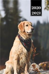 Labrador Golden Retriever Dog Calendar Week Planner 2020 / 2021 - Wild Forest