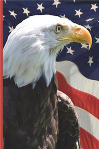 American Bald Eagle Creative Journal