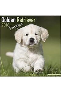 Golden Retriever Puppies Calendar 2018 (Mini Square)