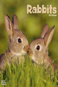 Rabbits 2023 Wall Calendar