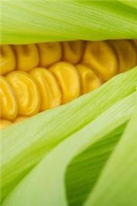 Corn Cob Notebook