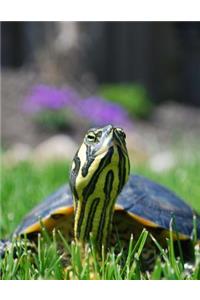 Turtle Bullet Journal