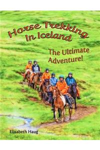 Horse Trekking in Iceland
