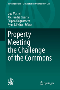 Property Meeting the Challenge of the Commons