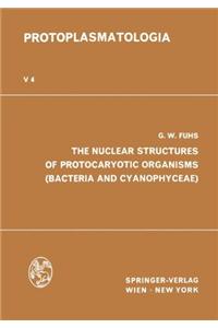 THE NUCLEAR STRUCTURES OF PROTOCARYOTIC