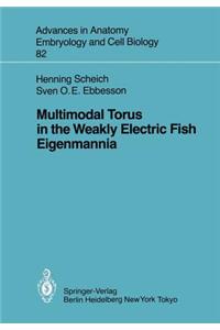 Multimodal Torus in the Weakly Electric Fish Eigenmannia