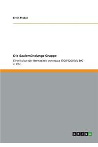 Die Saalemündungs-Gruppe