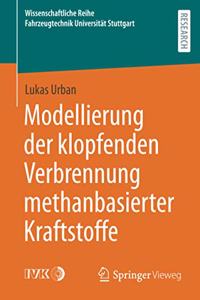 Modellierung der klopfenden Verbrennung methanbasierter Kraftstoffe