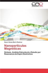 Nanoparticulas Magneticas