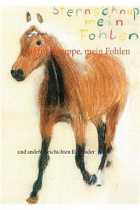 Sternschnuppe, mein Fohlen