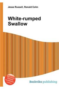 White-Rumped Swallow