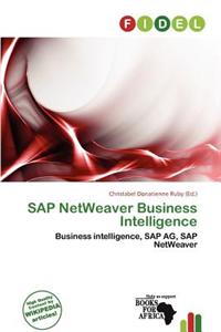 SAP Netweaver Business Intelligence