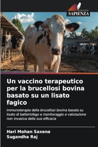 vaccino terapeutico per la brucellosi bovina basato su un lisato fagico