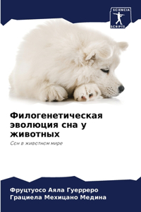 Филогенетическая эволюция сна у животных