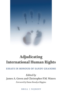 Adjudicating International Human Rights