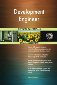 Development Engineer Critical Questions Skills Assessment