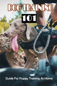 Dog Training 101