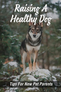 Raising A Healthy Dog