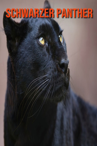 Schwarzer Panther