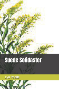 Suede Solidaster