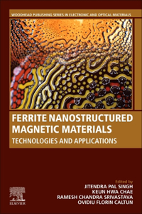 Ferrite Nanostructured Magnetic Materials