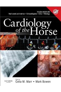 Cardiology of the Horse