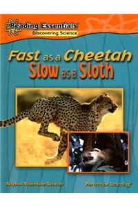 Fast as a Cheetah, Slow as a Sloth