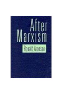 After Marxism (Critical Perspectives)