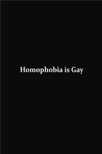 Homophobia is Gay