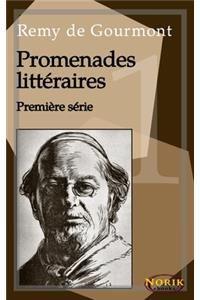 Promenades littéraires. Première série