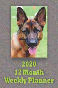 2020 12 Month Weekly Planner