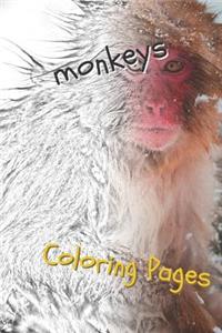 Monkeys Coloring Pages