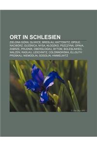 Ort in Schlesien