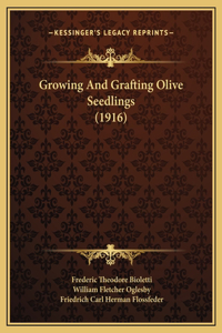 Growing And Grafting Olive Seedlings (1916)