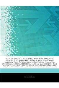 Articles on Trees of Jamaica, Including: Avocado, Tamarind, Mamoncillo, Manilkara Zapota, Annona Glabra, Sandbox Tree, Picrodendron Baccatum, Guaiacum