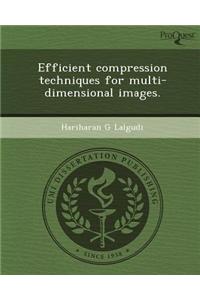 Efficient Compression Techniques for Multi-Dimensional Images