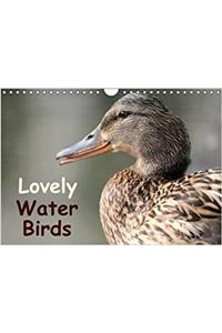 Lovely Water Birds 2018