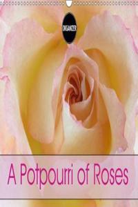 A Potpourri of Roses 2018