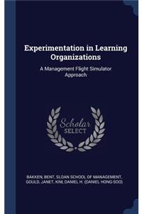 Experimentation in Learning Organizations