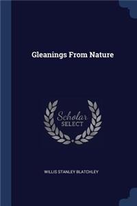 Gleanings From Nature