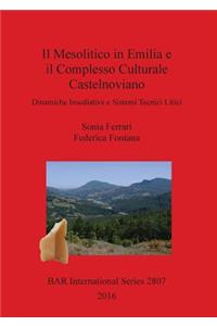 Il Mesolitico in Emilia e il Complesso Culturale Castelnoviano