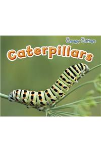 Caterpillars (Creepy Critters)