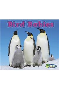Bird Babies
